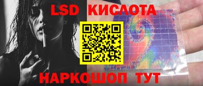 PSILOCYBIN Краснодар