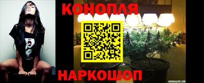 PSILOCYBIN Краснодар