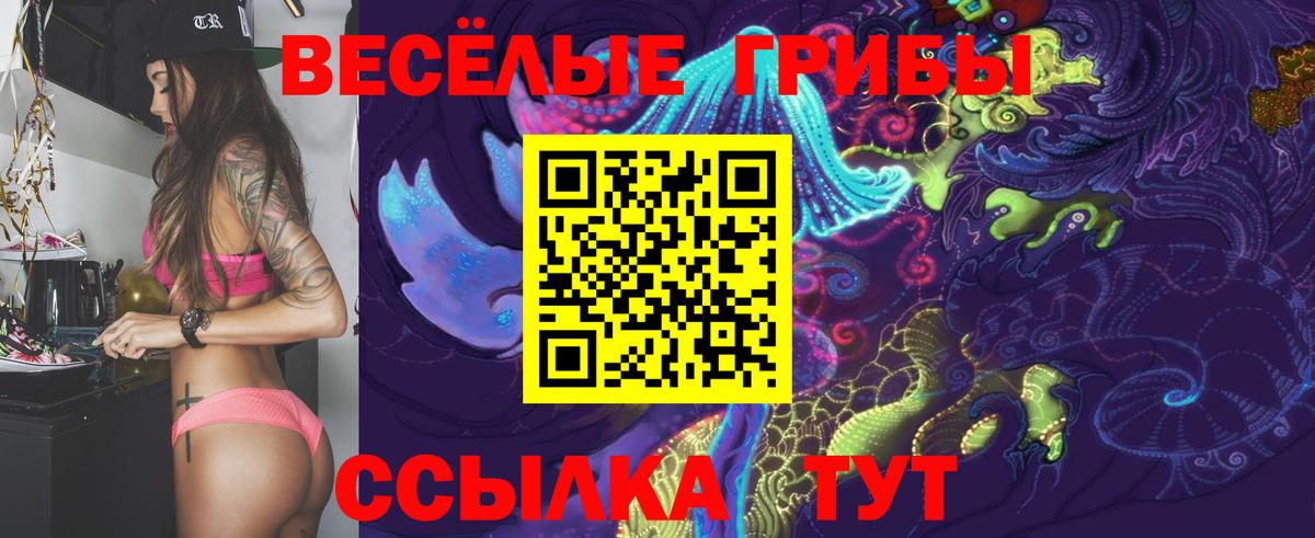 Галлюциногенные грибы Psilocybe Зеленокумск